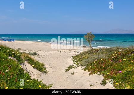 Beautiful Marmari beach with golden sand and turquoise water. Kos island, Greec Stock Photo