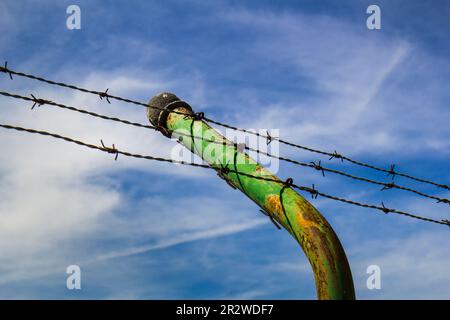 Barbed wire fence Stock Photo