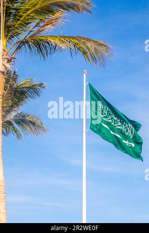 Saudi Arabian flag waving on the wind with palm leaves, Jeddah, Saudi Arabia Stock Photo