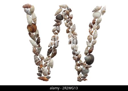 Letter W, summer concept idea. Letter W made with sea shell isolated on white background. Stock Photo