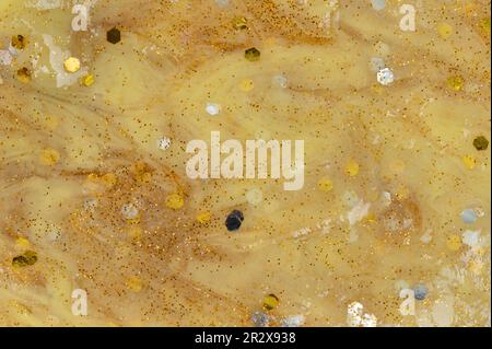 Texture of yellow slime background. Glittery gold color pattern Stock Photo