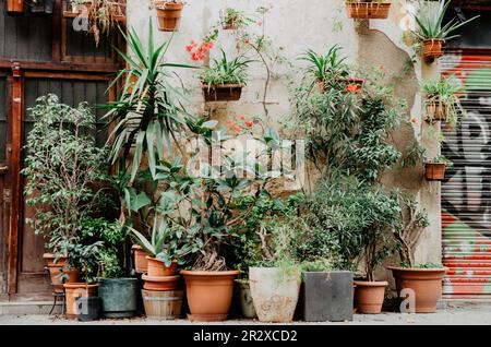 Street wall decorated with flower pots Stock Photo