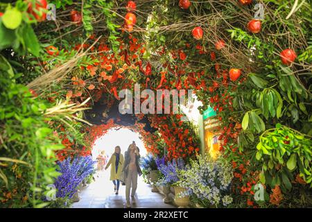 London, UK, 21st May 2023. The floral tunnel at the entrance to Duke of York Square always attracts attention. Chelsea in Bloom is Chelsea's free annual floral art show, flower festival and display competition, running in parallel to Chelsea Flower Show nearby. Credit: Imageplotter/Alamy Live News Stock Photo