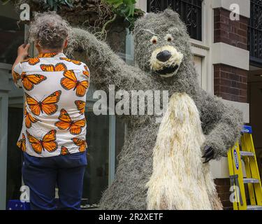 London, UK, 21st May 2023. Balou the bear and Shere Khan the tiger from 'The Jungle Book' are being created outside the Kiki McDonough store. Chelsea in Bloom is Chelsea's free annual floral art show, flower festival and display competition, running in parallel to Chelsea Flower Show nearby. Credit: Imageplotter/Alamy Live News Stock Photo