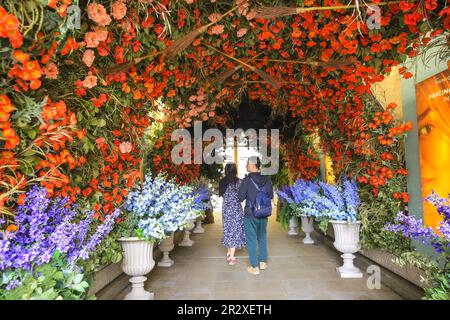 London, UK, 21st May 2023. The floral tunnel at the entrance to Duke of York Square always attracts attention. Chelsea in Bloom is Chelsea's free annual floral art show, flower festival and display competition, running in parallel to Chelsea Flower Show nearby. Credit: Imageplotter/Alamy Live News Stock Photo