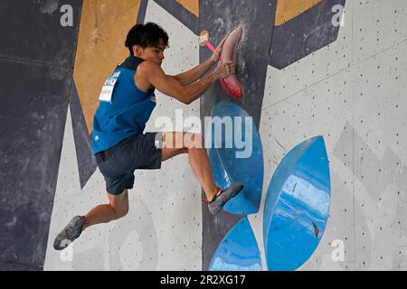 Tomoa narasaki hot sale climbing shoes