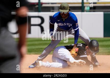 Maryvale, United States. 24th Feb, 2023. Los Angeles Dodgers shortstop Chris  Taylor (3) flies out to Chicago White Sox right fielder Romy Gonzalez (12)  in the fifth inning of an MLB spring