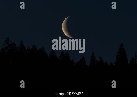 Waning Crescent Moon, Ashland, OR, March Stock Photo