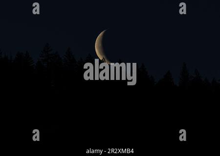 Waning Crescent Moon, Ashland, OR, March Stock Photo