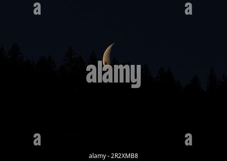 Waning Crescent Moon, Ashland, OR, March Stock Photo