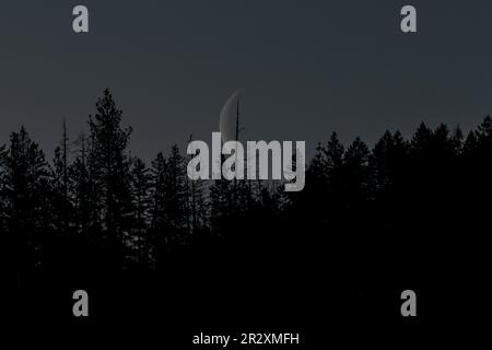 Waning Crescent Moon, Ashland, OR, March Stock Photo