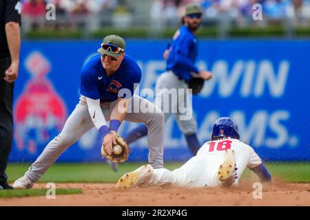 Brandon Marsh has Phillies' backing as everyday centerfielder – Trentonian