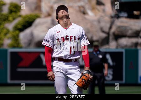 Minnesota Twins' Ryan Jeffers (27) reacts while batting during the fifth  inning of a baseball game against the Detroit Tigers, Saturday, June 17,  2023, in Minneapolis. (AP Photo/Abbie Parr Stock Photo - Alamy