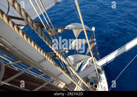 Jib Line Rope Windjammer, tall ship, tall sailer, sailing ship, sailboat, rigging ...