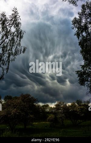 Atmospheric phenomenon of the mammatus cloud, view from the road ...