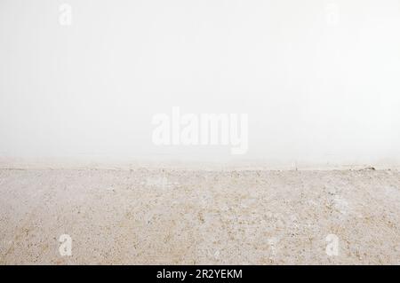 Abstract empty interior background, blank white wall and concrete floor, contemporary architecture Stock Photo