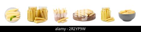 Set with tasty pickled baby corn on white background. Banner design Stock Photo
