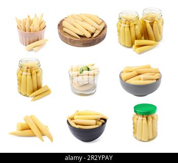 Set with tasty pickled baby corn on white background Stock Photo