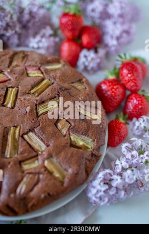 home made chocolate rhubarb cake on a table Stock Photo