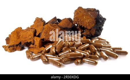 Chaga Mushroom with Capsules isolated on white Background - Healthy Nutrition Stock Photo