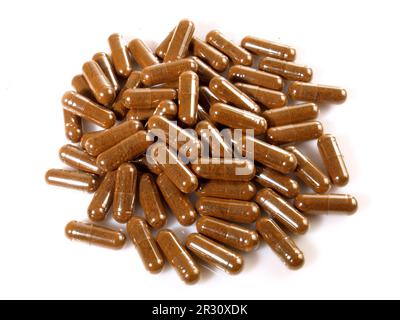 Chaga Mushroom Capsules isolated on white Background - Healthy Nutrition Stock Photo