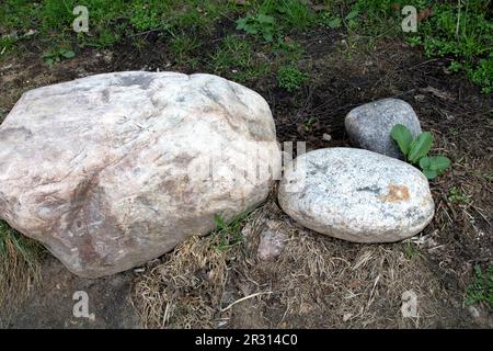 photo several stones lying on the ground Stock Photo
