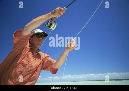 A saltwater fly-fisherman lands a fish in the Bahamas. Stock Photo