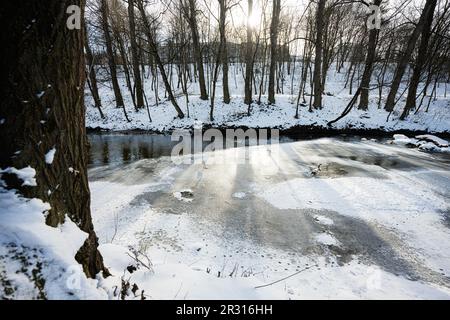 Lonely heron on a frozen river in winter forest. Stock Photo
