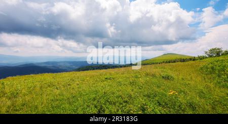 grassy meadows on the hills of ukrainian highlands. wilderness of carpathian mountains in summer Stock Photo