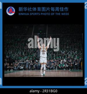Beijing, China's Liaoning Province. 15th May, 2023. XINHUA SPORTS PHOTO OF THE WEEK (from May 15 to May 21, 2023) TRANSMITTED on May 22, 2023. Guo Ailun of Liaoning Flying Leopards celebrates scoring during the fourth round final match between Liaoning Flying Leopards and Zhejiang Golden Bulls at the Chinese Basketball Association (CBA) league 2022-2023 season playoffs, in Shenyang, north China's Liaoning Province, May 15, 2023. Credit: Pan Yulong/Xinhua/Alamy Live News Stock Photo