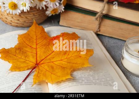 Book with autumn leaf as bookmark and scented candle on light gray table, closeup Stock Photo