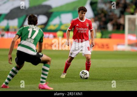 Lisbon, Portugal. 21st May, 2023. Joao Neves of Benfica in action during the Portuguese League football match between Sporting CP and SL Benfica at Jose Alvalade stadium in Lisbon, Portugal on May 21, 2023. (Credit Image: © Pedro Fiuza/ZUMA Press Wire) EDITORIAL USAGE ONLY! Not for Commercial USAGE! Stock Photo