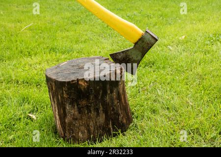 An ax stuck in tree stump closeup Stock Photo