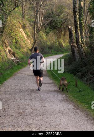 Running with pet canicross dog on dirt road in nature in portrait Stock Photo