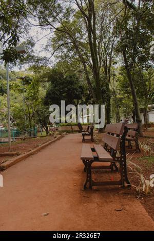 Square Empty wooden green benches and picnic tables Stock Photo - Alamy