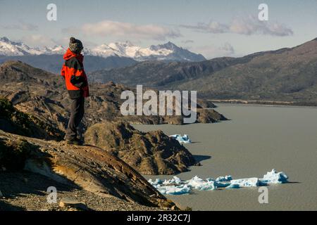 tempanos en el lago Grey, valle del lago Grey, trekking W, Parque nacional Torres del Paine,Sistema Nacional de Áreas Silvestres Protegidas del Estado de Chile.Patagonia, República de Chile,América del Sur. Stock Photo