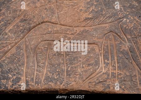 petroglyph, Aït Ouazik rock deposit, late Neolithic, Morocco, Africa. Stock Photo