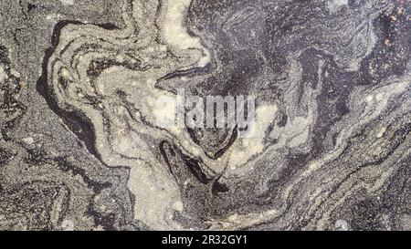 panoramic background - birch pollen on water surface on asphalt road Stock Photo