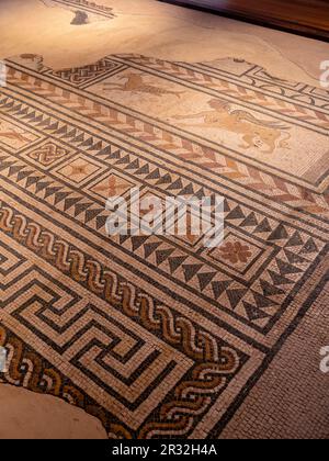 mosaicos romanos, Medinaceli, Soria, comunidad autónoma de Castilla y León, Spain, Europe. Stock Photo