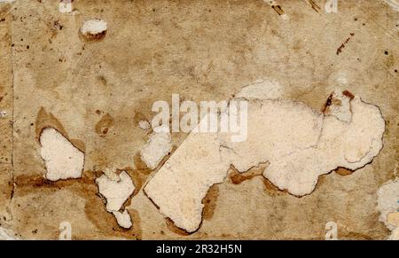 paper background - reverse side of old photograph from the end of the nineteenth century, torn from album Stock Photo