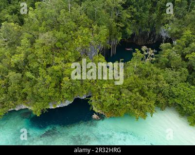 The mouth of a dark, water-filled cave opens on the edge of a forest-covered limestone island near Fak Fak, Indonesia. Limestone often harbors caves. Stock Photo