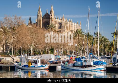 Cathedral of Palma from Moll de la Riba, Palma, mallorca, balearic islands, spain, europe. Stock Photo