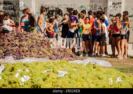gran batalla de la uva -Gran Batalla Del Raïm-, fiestas de Es Vermar, Binissalem, Mallorca, islas baleares, Spain, europa. Stock Photo