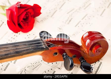 Violin on notes Stock Photo