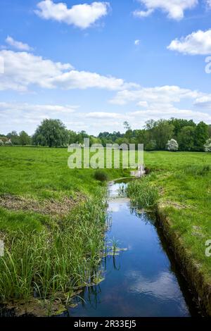 Small irrigation stream running through a meadow in summer Stock Photo