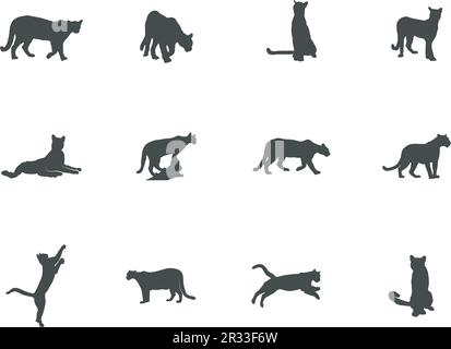 Puma silhouette, Puma vector,  Puma silhouette vector illustration Stock Vector