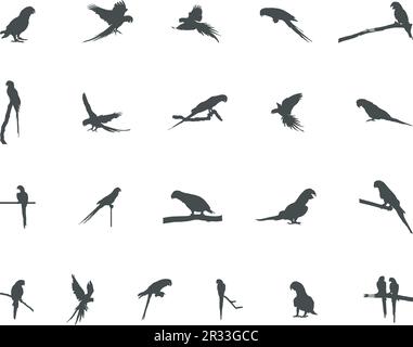 Parrots silhouette, Parrot vector, Birds silhouette,Parrot icon set. Stock Vector