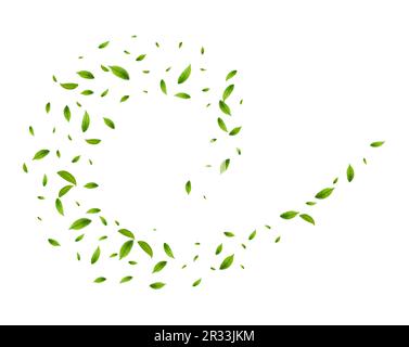 Realistic green tea leaves in motion Stock Vector