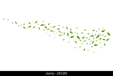 Realistic green tea leaves in motion Stock Vector