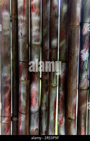 bamboo walls with distinctive designs, high definition photographs and photos. image showing the texture of a bamboo wall. Stock Photo